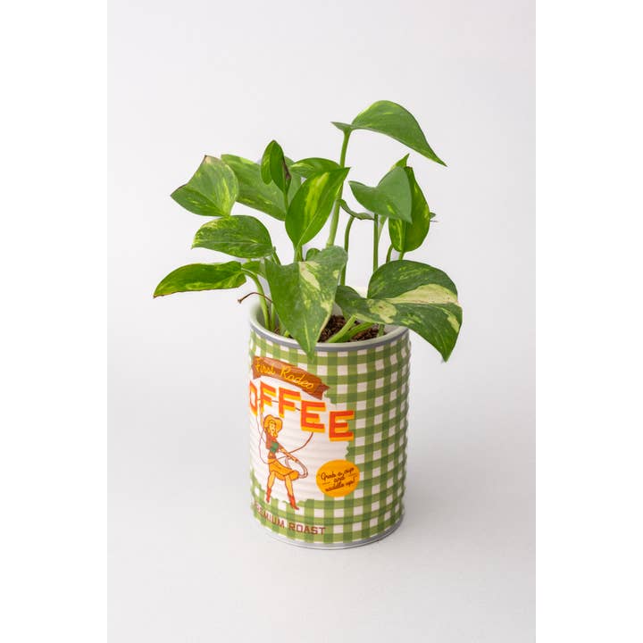 Ban.do - Wholesale Planter Box - Ceramic Planter, Coffee Can6