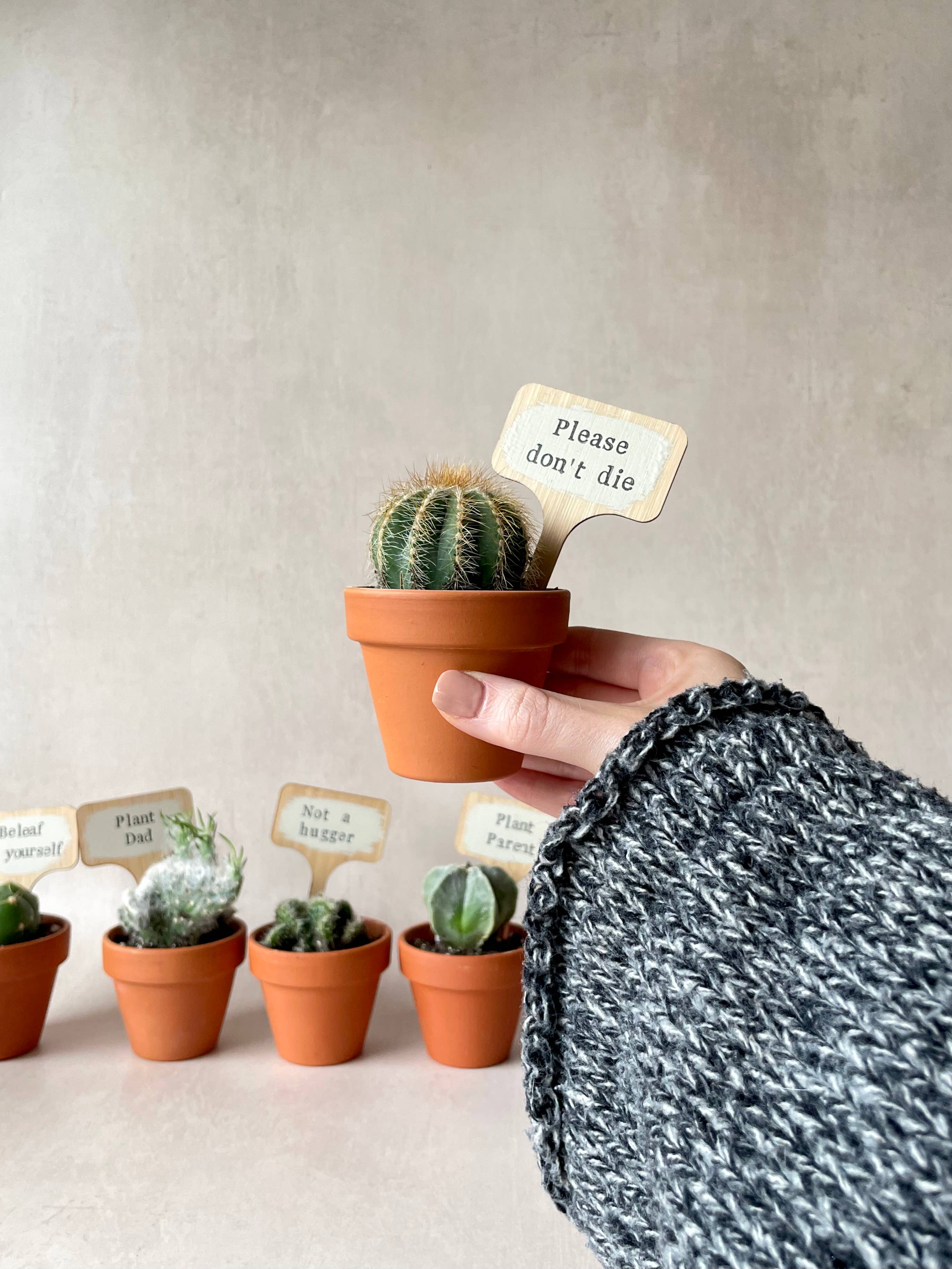 The Soil Pot – wholesale Garden/lawn stake – Hand Painted Plant Pot Markers, Funny plant pun gifts5