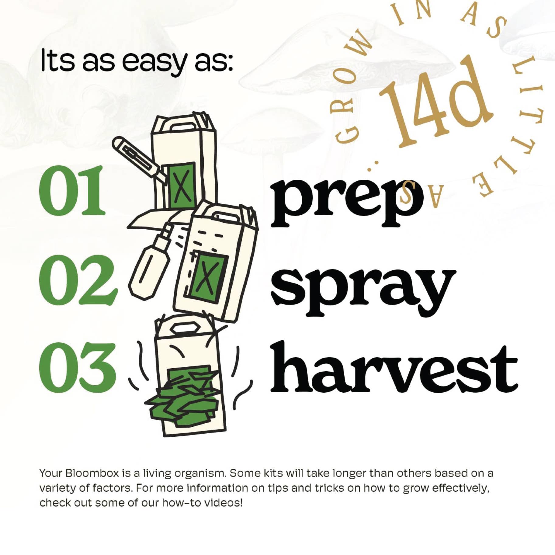 Nublume Mushroom - Wholesale Planter Box - Lion’s Mane Mushroom Grow Kit | DIY Indoor Garden | Gift3