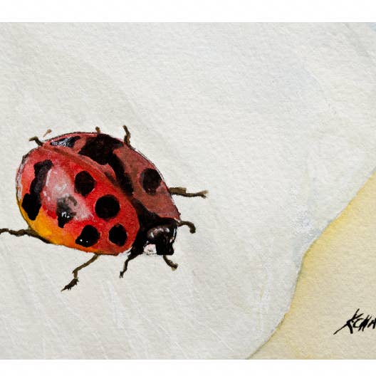 Carte de vœux en forme de coccinelle, blanc à l'intérieur #KC13C pour la vente par Kellie Chasse Fine Art