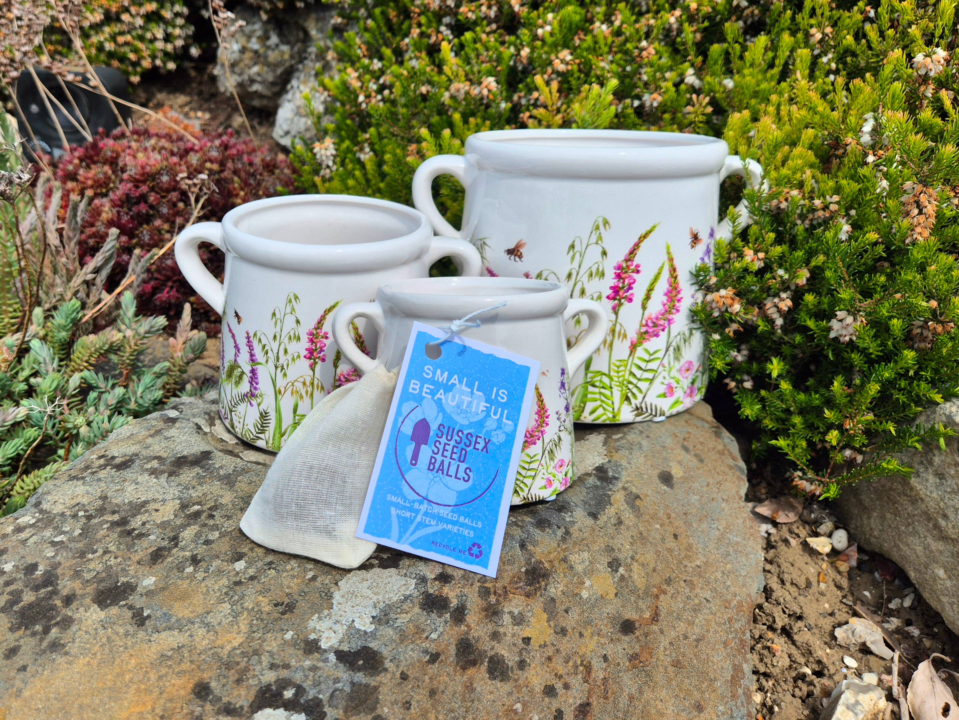 Sussex Seed Balls - Wholesale Plant seeds - Ceramic Planter Seed Ball Gift Kit0