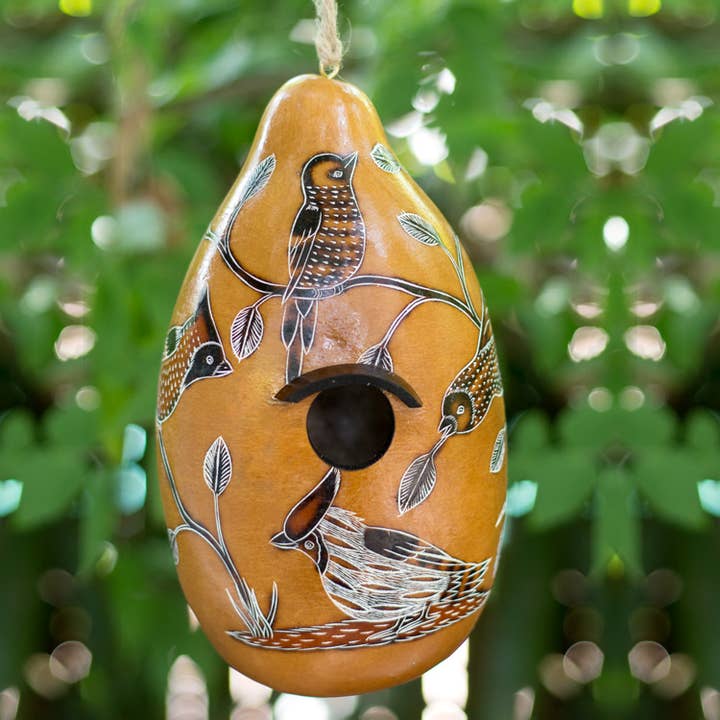Lucuma Designs - Wholesale Bird House - Birds of North America - Gourd Birdhouse - Artist Made4
