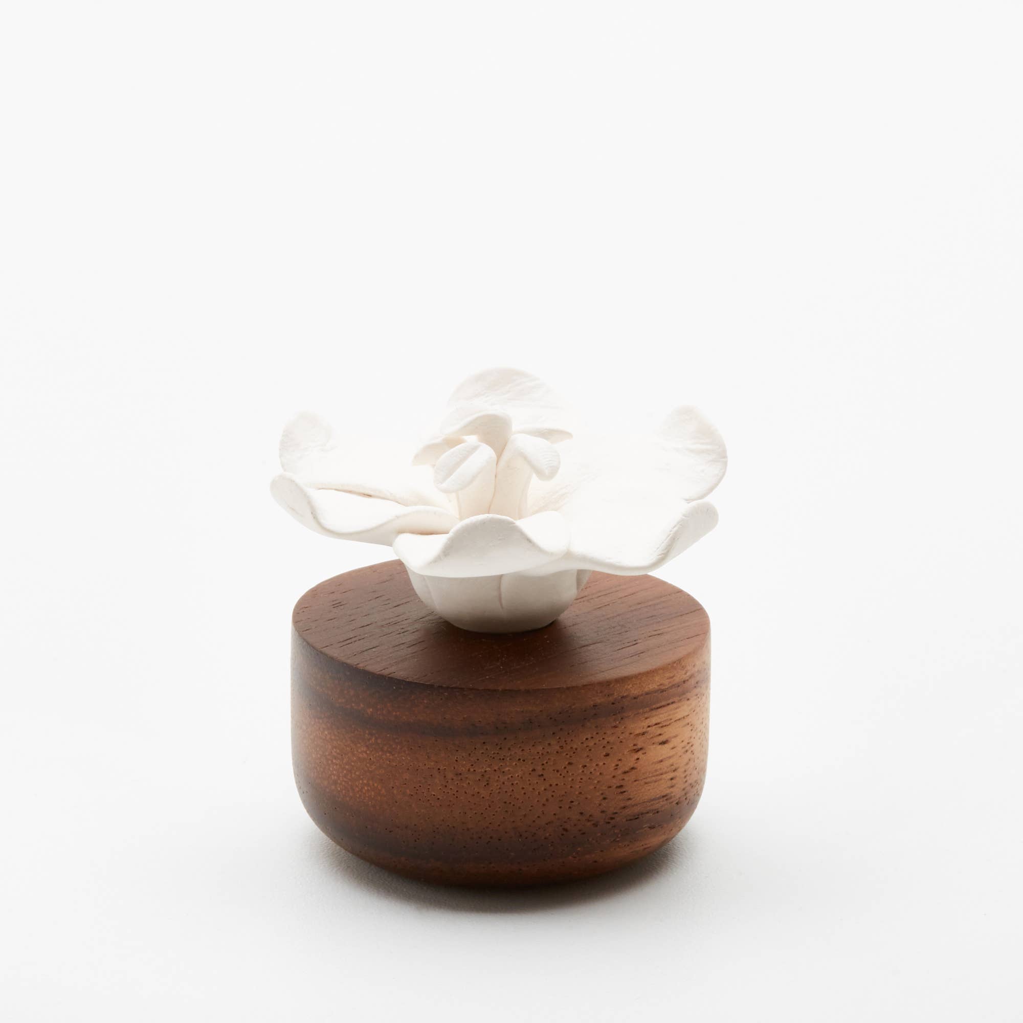 Anoq - Wholesale Reed Diffuser - Fragrance diffuser - Jasmine Flower - Ambient Perfumer3
