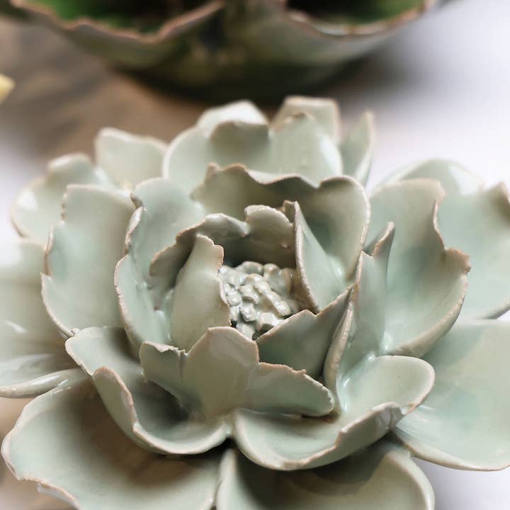 Engelsk trädgård, Pistagegrön ros - EG09 för wholesale av Chive EU