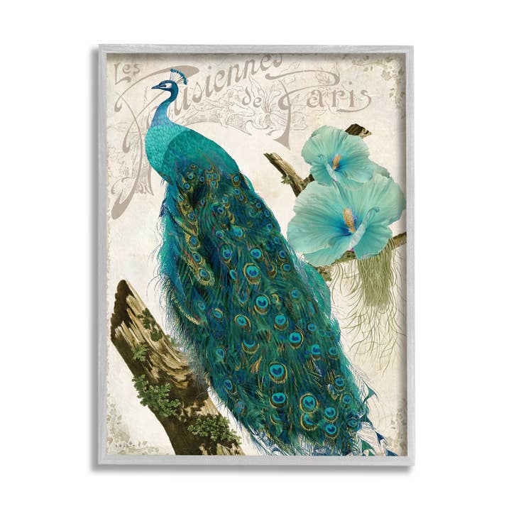 Stupell Industries - Venta al por mayor Ilustración - Pájaro estampado de pavo real parisino flor de hibisco azul enmarcado