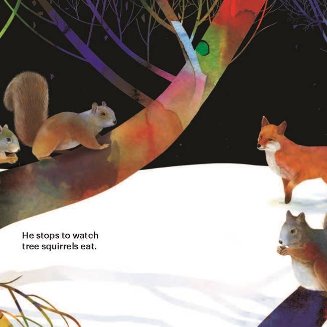 National Book Network - Wholesale Nature & Outdoors - After the Snowfall4