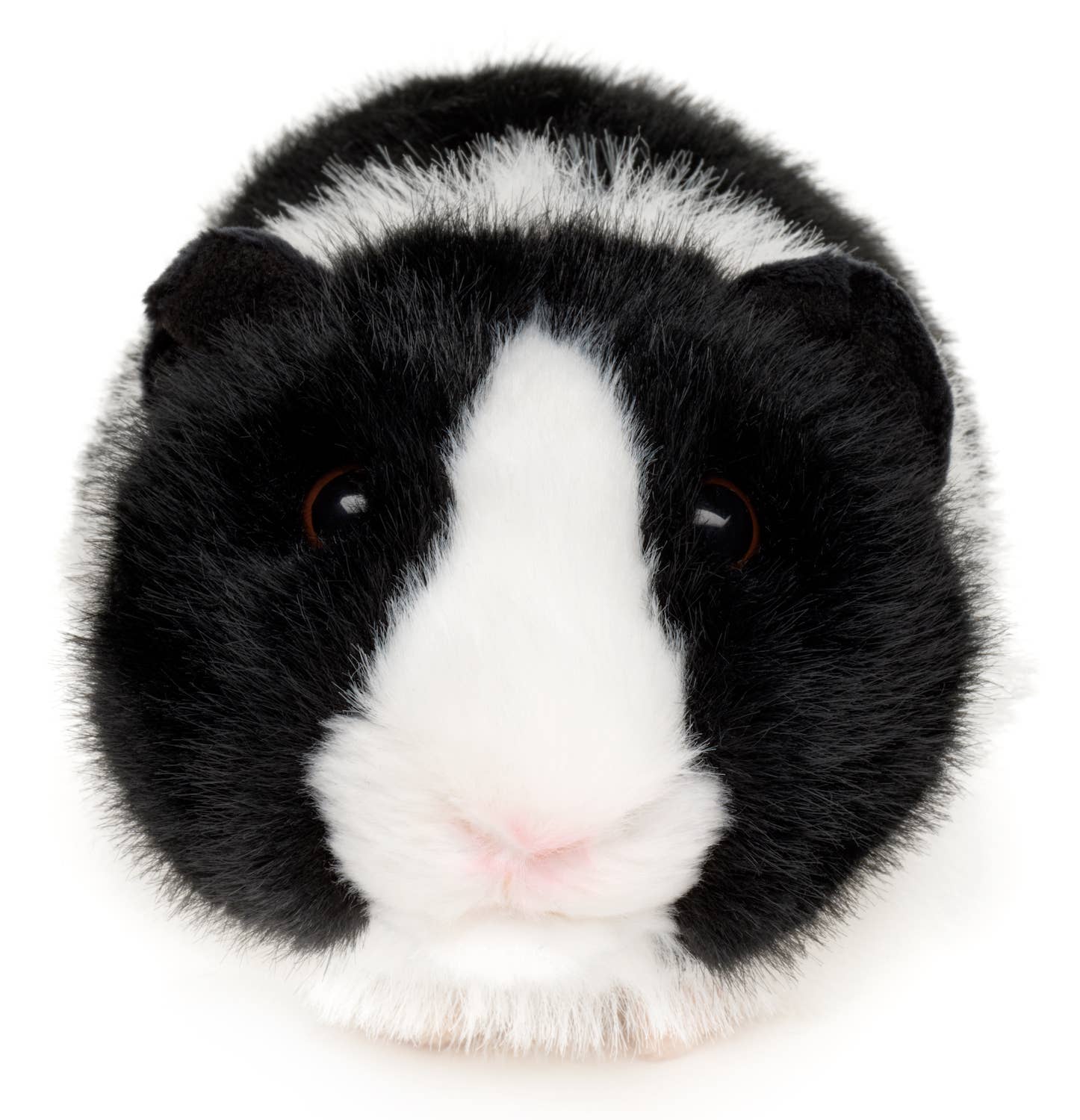 Uni Toys - Vendita all'ingrosso Peluche - Bambini e neonati - Porcellino d'India (nero) - 21 cm (lunghezza) - Peluche1