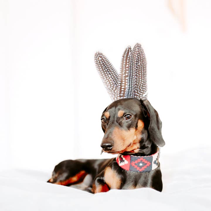 Buddys dogwear – Engroshandel Halsbånd - Hund – Hundehalsbånd Peruviansk Indisk Rød