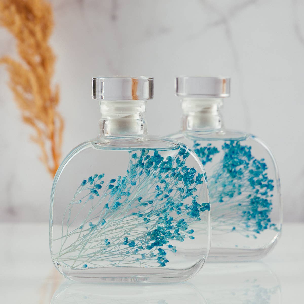 Theophile Berthon - Vente Plante - L'Herbarium Capsule- Broom bloom bleu-plante immergée1