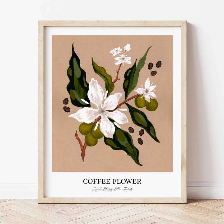 Fleur de café pour la vente par Juniper Company