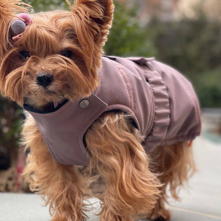 Bruce Winter - Fico per la vendita all'ingrosso da parte di Kizzou