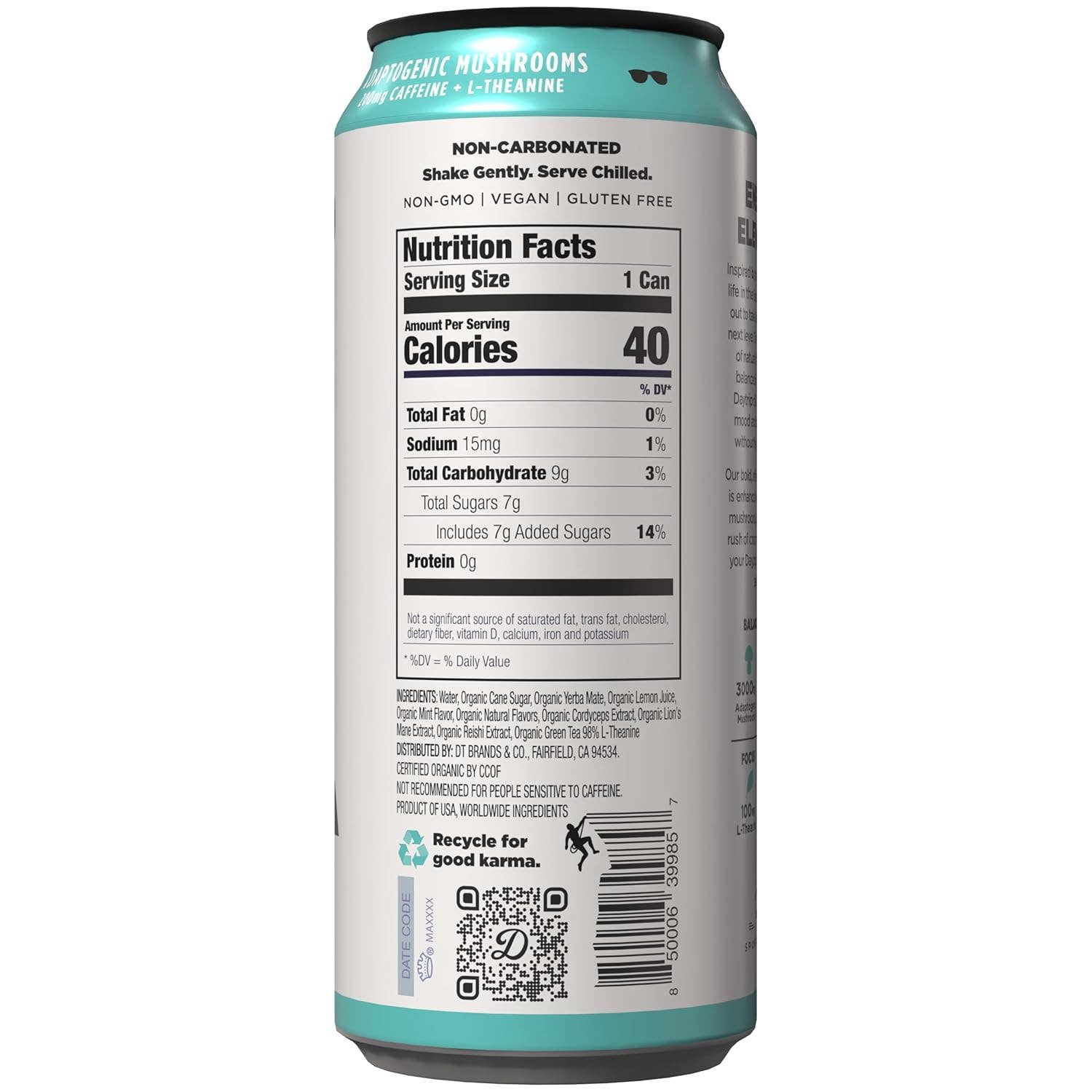 Daytrip - Wholesale Sports/Energy Drink - Daytrip Organic Yerba Mate - Mendo Mint1