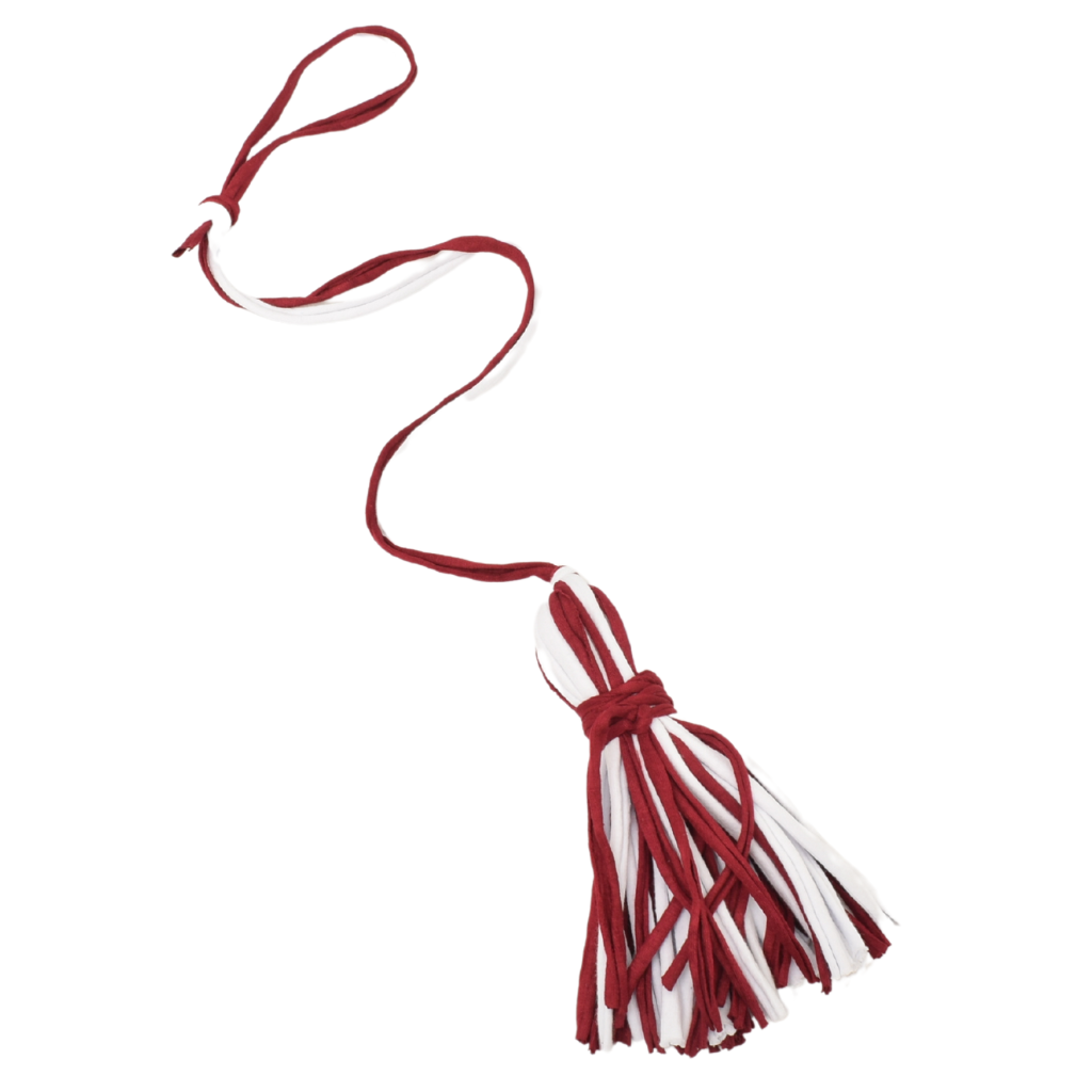 Shreds + rerope - Vente Jouet en corde – chien - Jouets ReRope Game Day Spider pour chats, paquet de 106