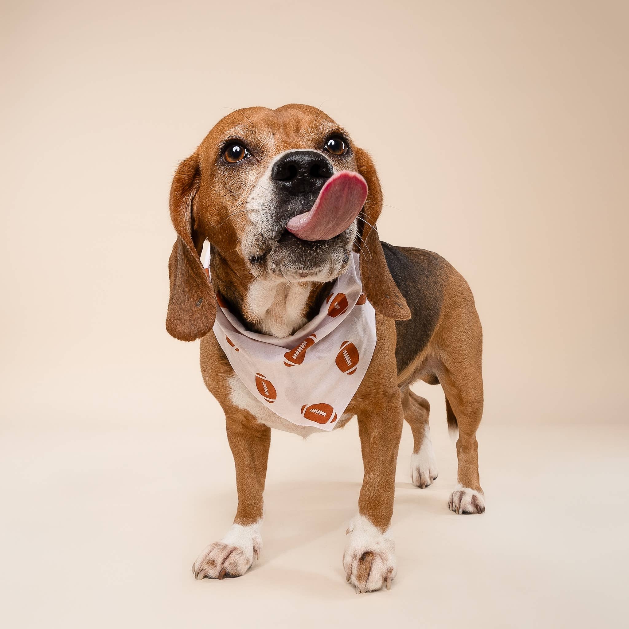 The Paws – Engroshandel Bandana - Hund – Quarterback Fodbold Dog Bandana2