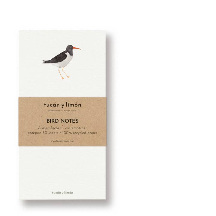 BIRD NOTES - Oystercatcher | Notepad DINA6 narrow for wholesale by tucán y limón
