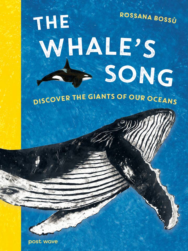 The Whale's Song: Discover Ocean Giants - Post Waves Kids for wholesale by Bounce Sales & Marketing