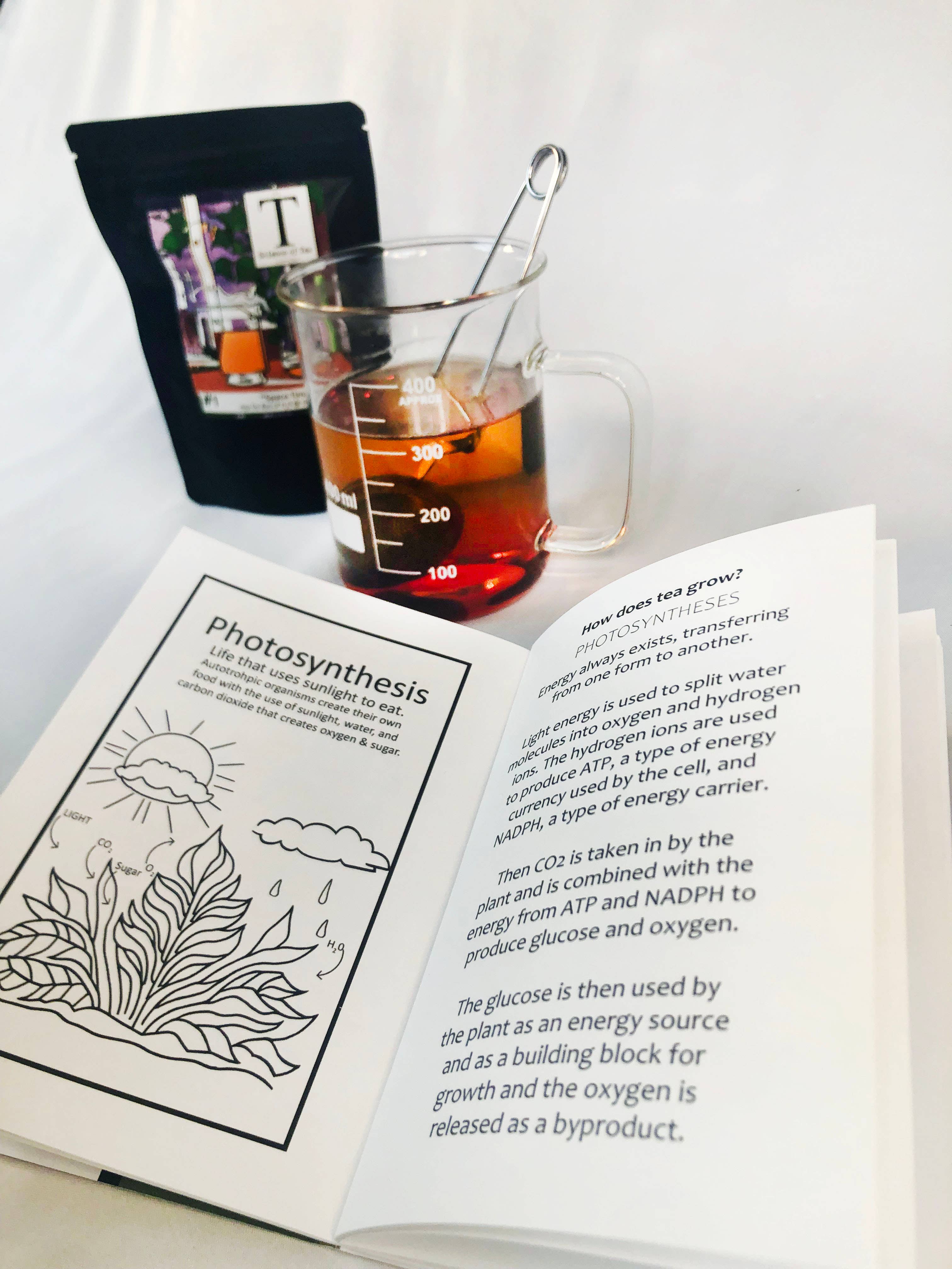 Science of Tea - Wholesale Gift Bag Set/Pack - Gift Set #12