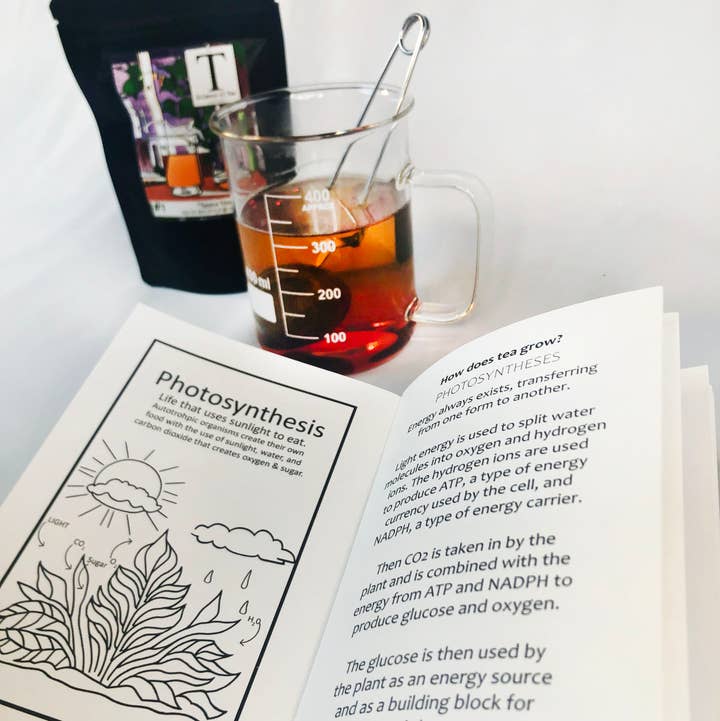 Science of Tea - Wholesale Gift Bag Set/Pack - Gift Set #12