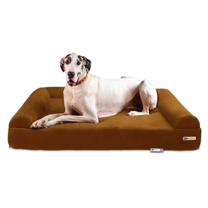 Barker Beds - Vente Panier – chien - Lit orthopédique pour chien 7" - Édition canapé3