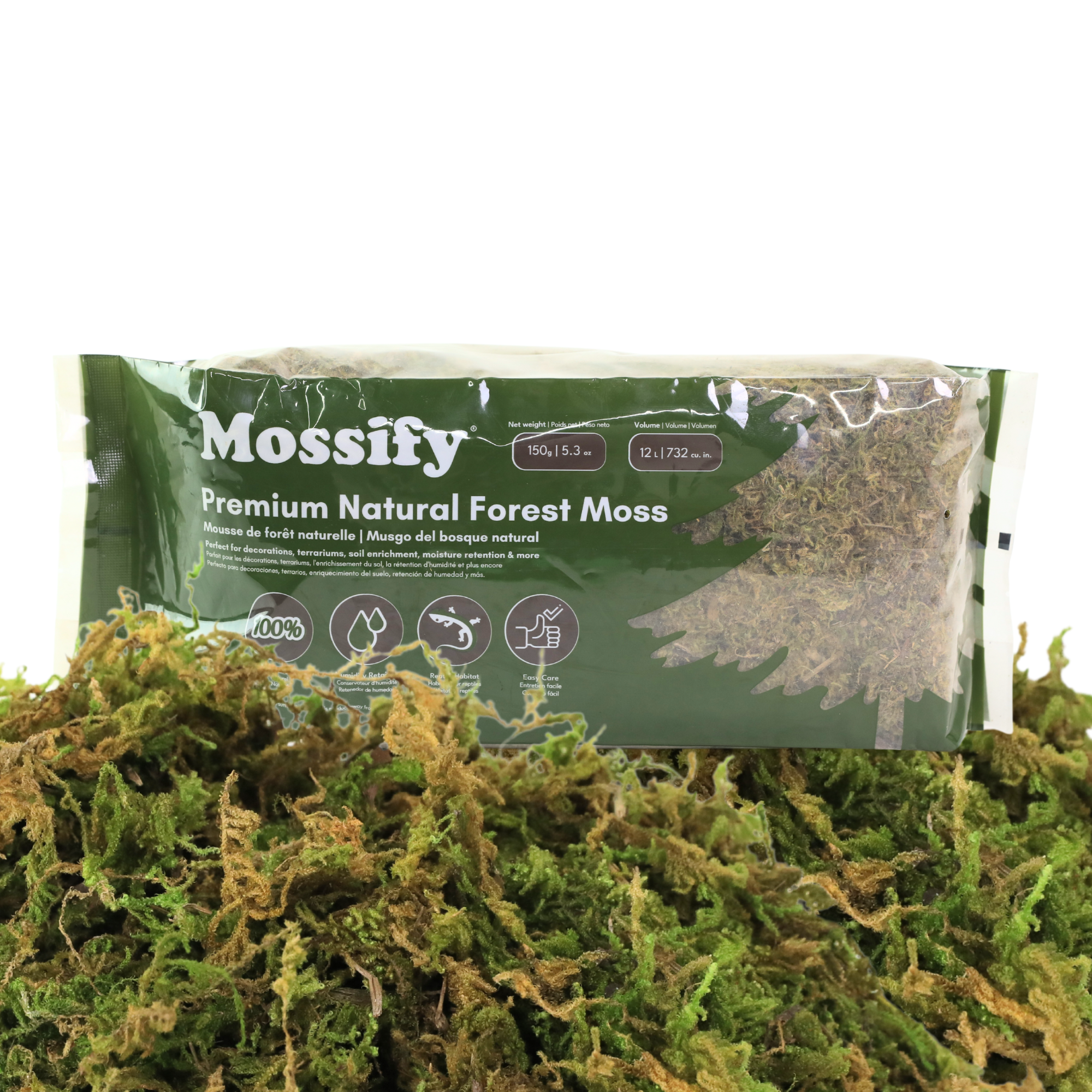 Mossify - Wholesale Planting/Potting Soil - Premium Natural Forest Moss – For Terrariums, Decor, Orchid5