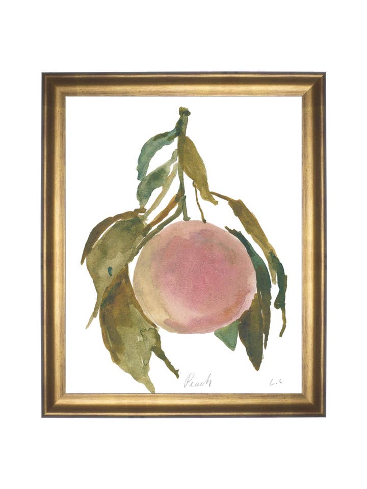 Pesca per la vendita all'ingrosso da parte di Splendus