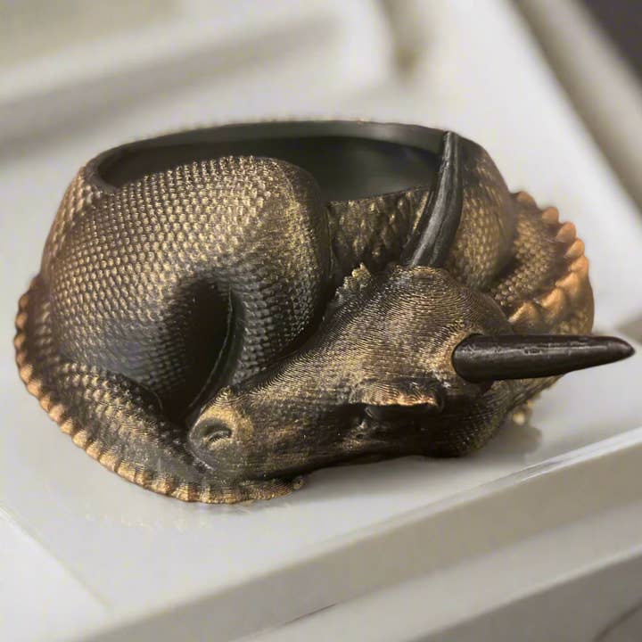 Genetic Designs - Wholesale Plant Pot - Sleeping Dragon Planter1