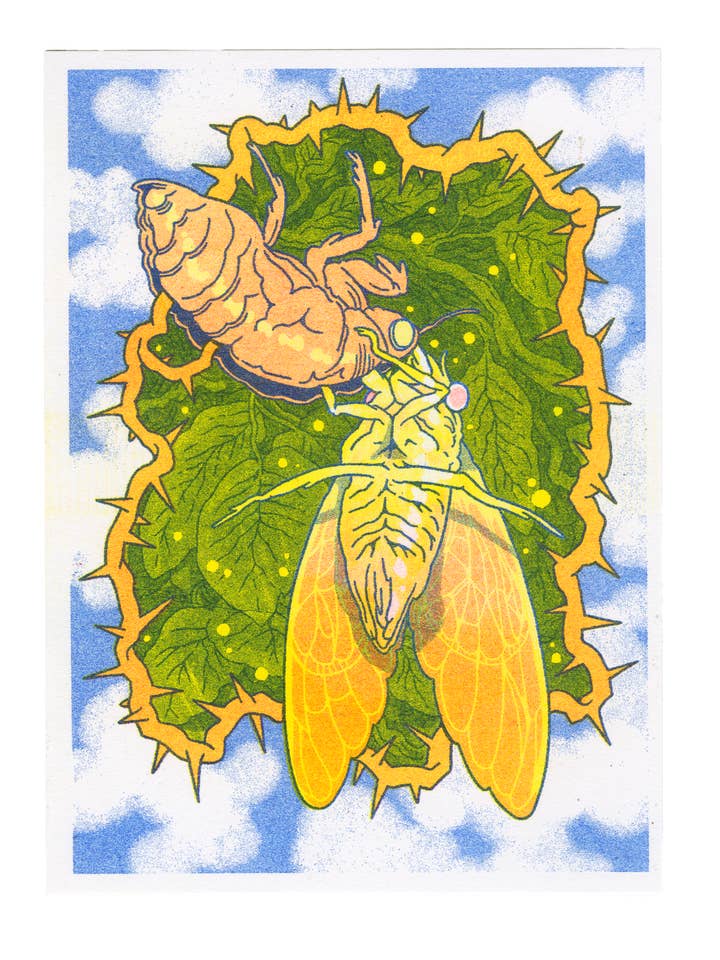 Cicada Shell Riso Print for wholesale by ALTARGOKART