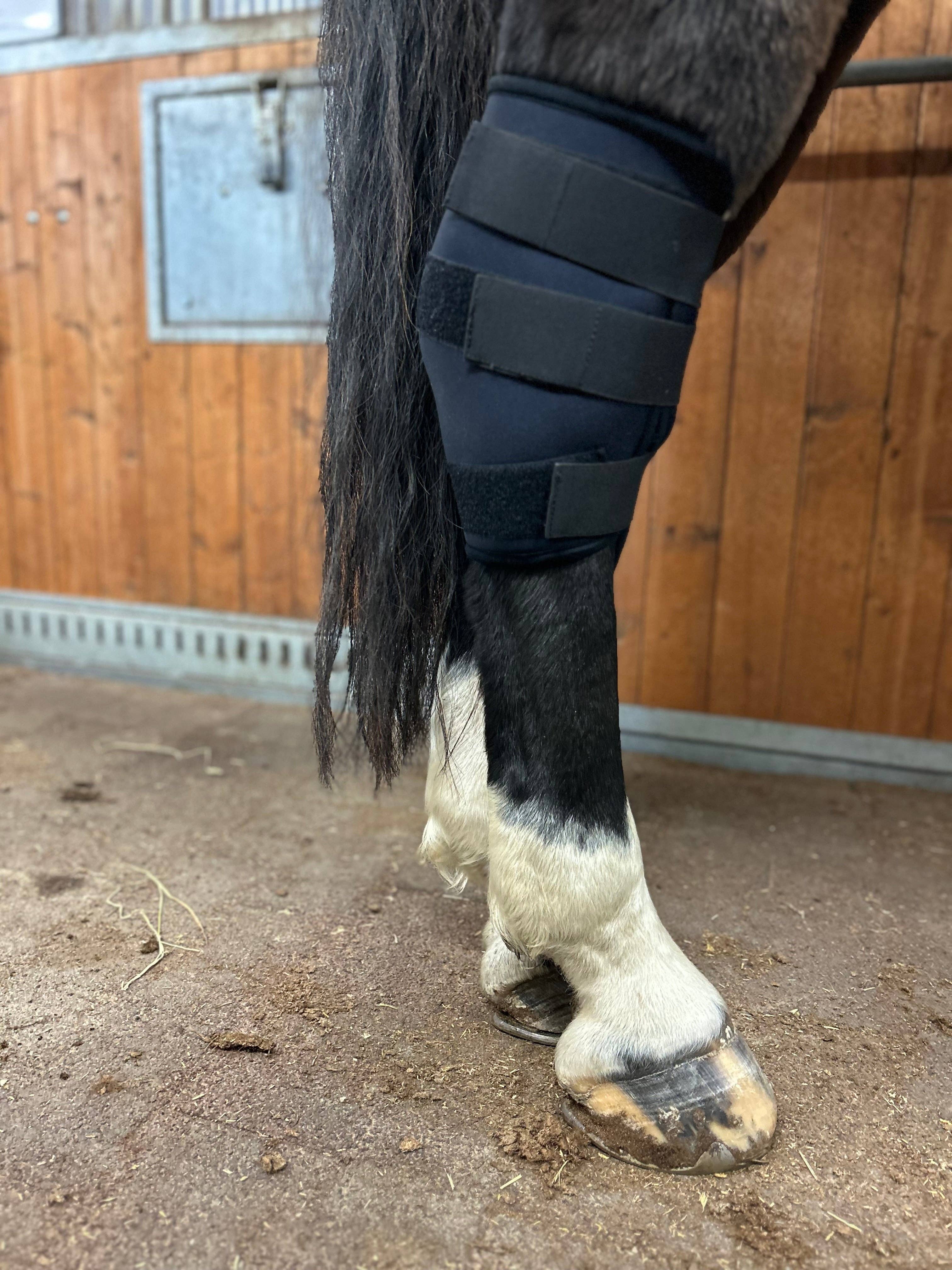 Woolcare - Wholesale Horseback Riding Gear - Wooler Hock Protector3