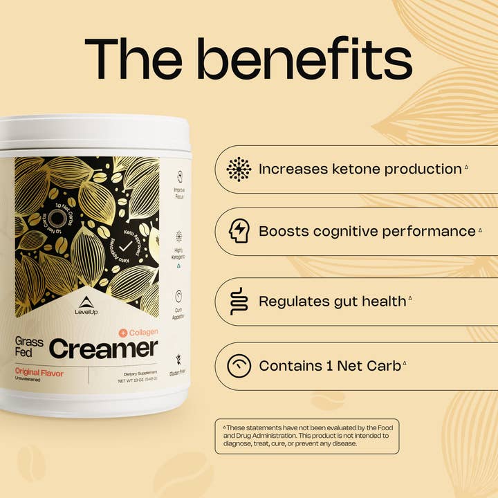 LevelUp - Wholesale Creamer - Grass-Fed Creamer Original - 19 oz2
