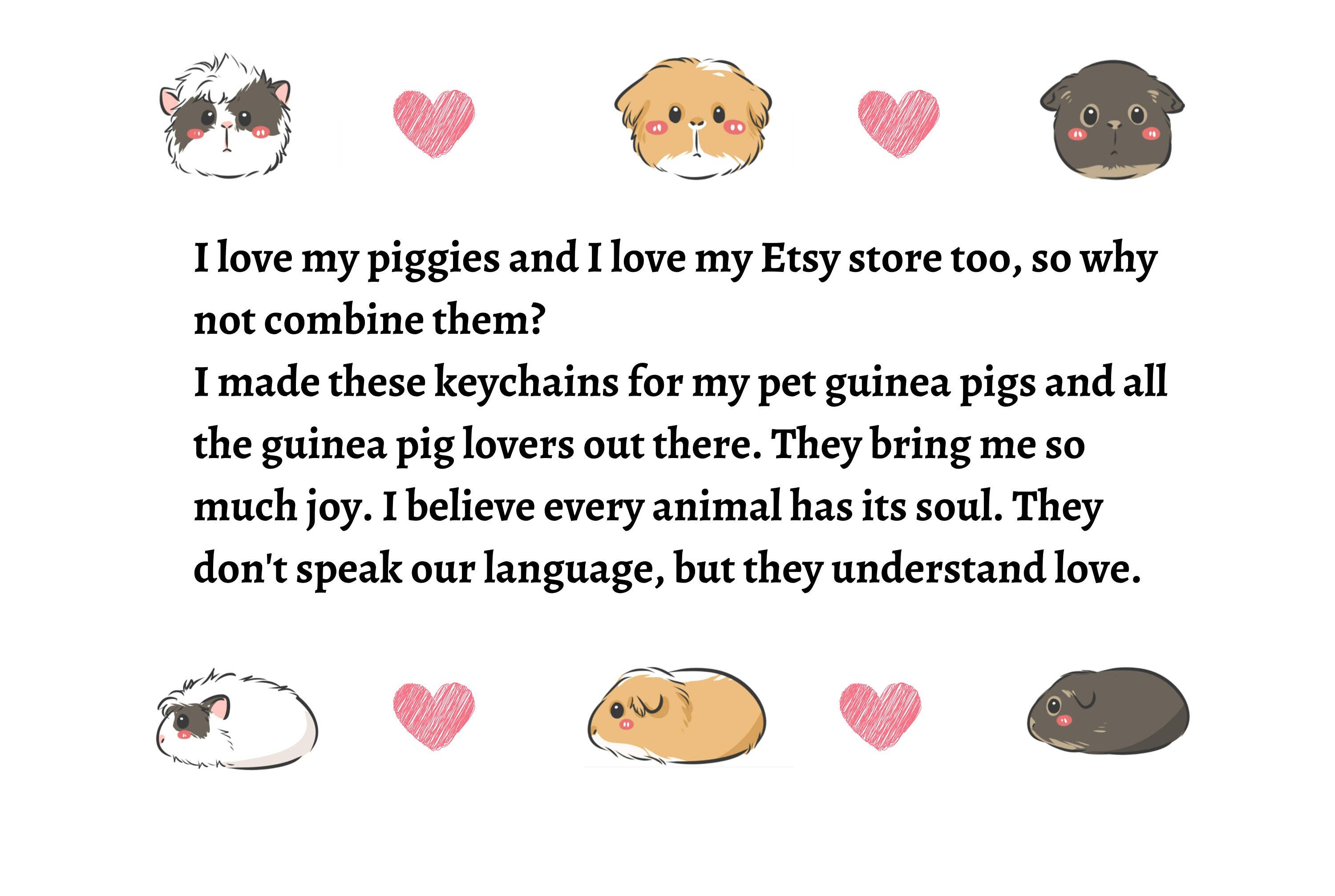 HolyGuacamolly - Wholesale Keychain - Women's - Original Design Guinea Pig Keychains Set9