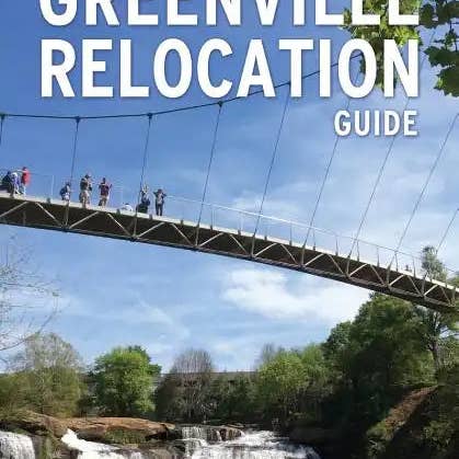 Books by splitShops - Wholesale Travel - The Ultimate Greenville Relocation Guide - Paperback