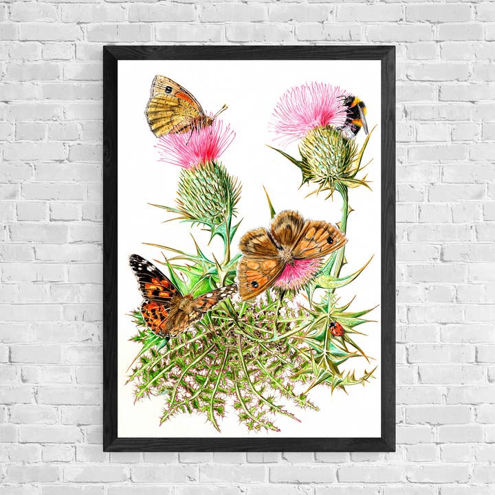 Thistle - Art Print for wholesale by Lifeforms Art