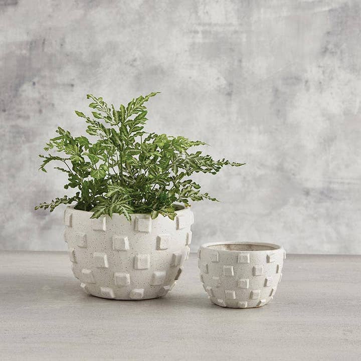 Angle - Wholesale Plant Pot - Wide Sq Texture Pot Sm