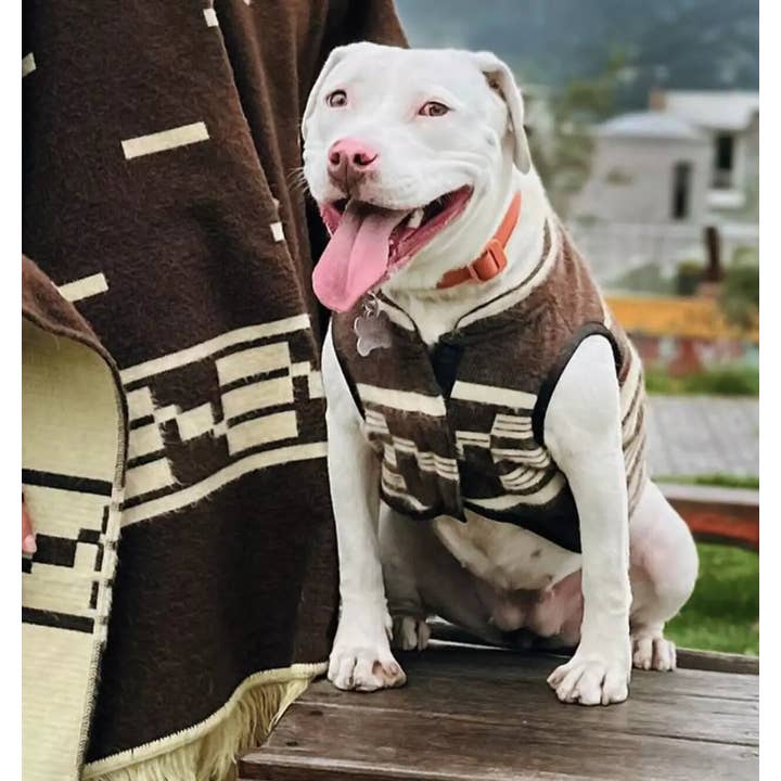 ECUALAMA - Wholesale Pet Poncho - Dog - Clint Eastwood-Inspired Dog Poncho - Handcrafted Alpaca Wool Cowboy Serape Blanket replica for Dogs - brown