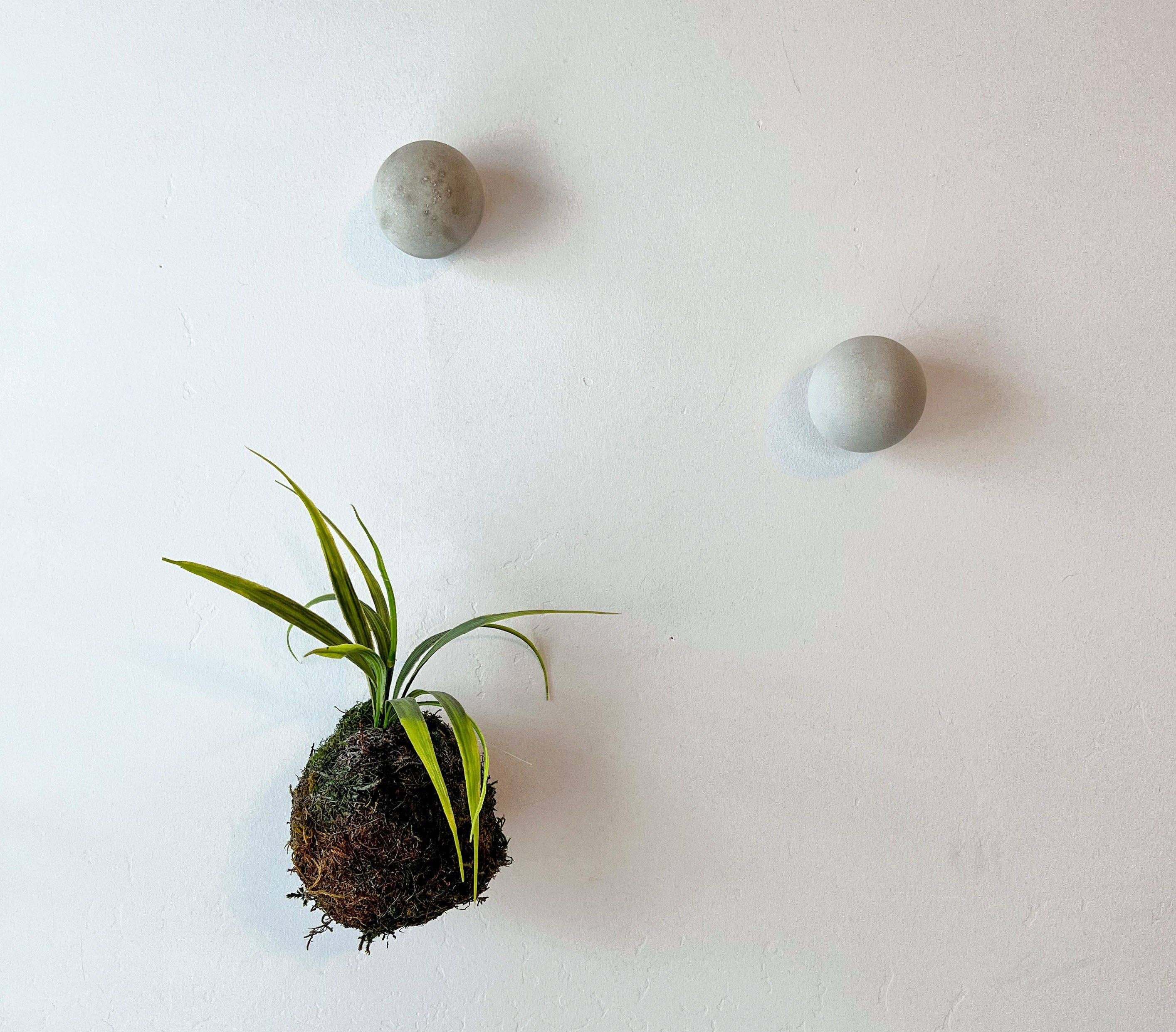 Minimal Loot Design - Wholesale Wall hook - Round Cement Hook, Sphere Knob, Hat Hook, Modern Hook, Decorative Peg, Entryway Coat Hook, Wall Storage, Ball Hanger, Natural4