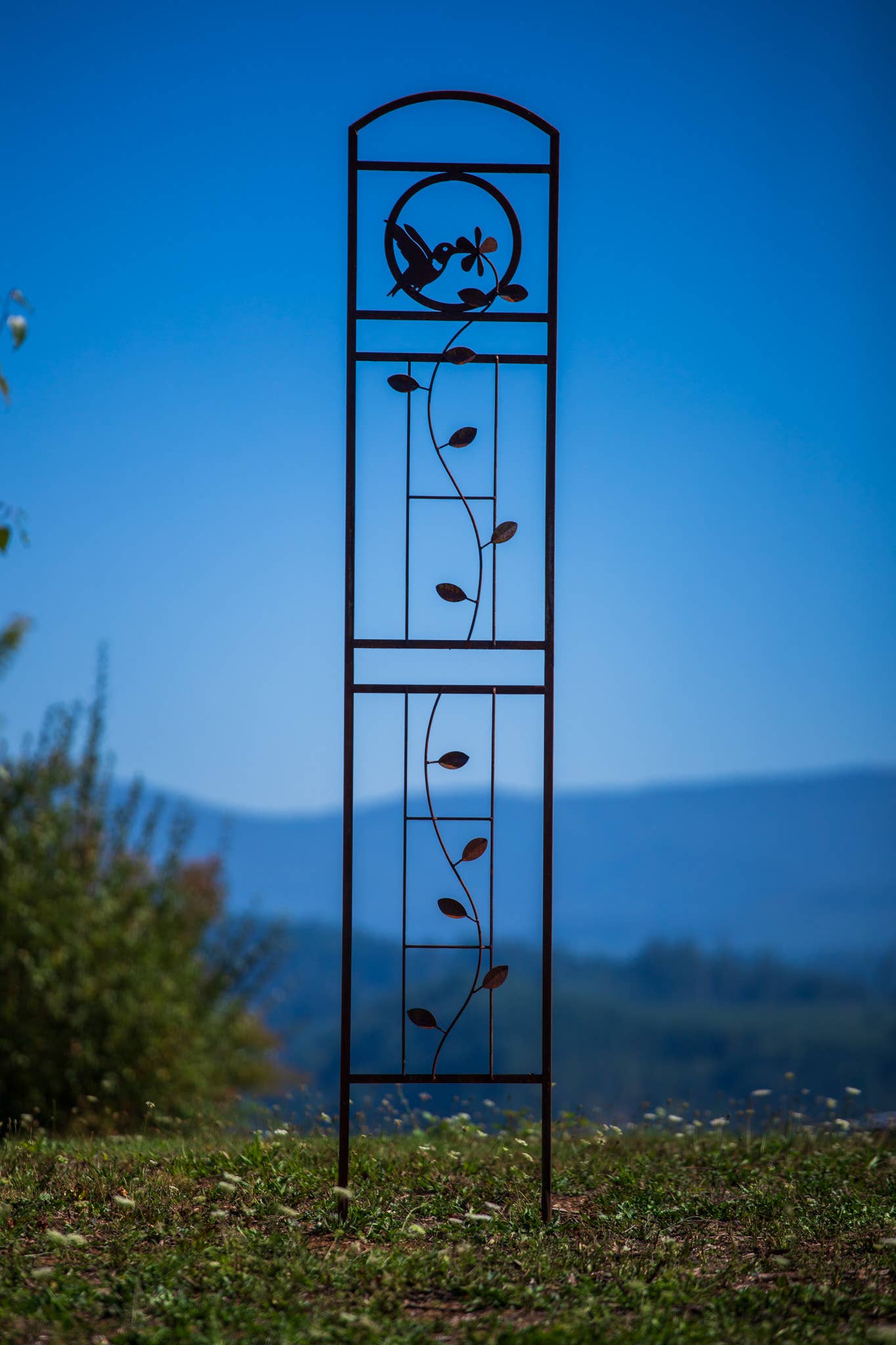 Elegant Garden Design – Engroshandel Udendørs pynt/dekoration – Kolibri Trellis2