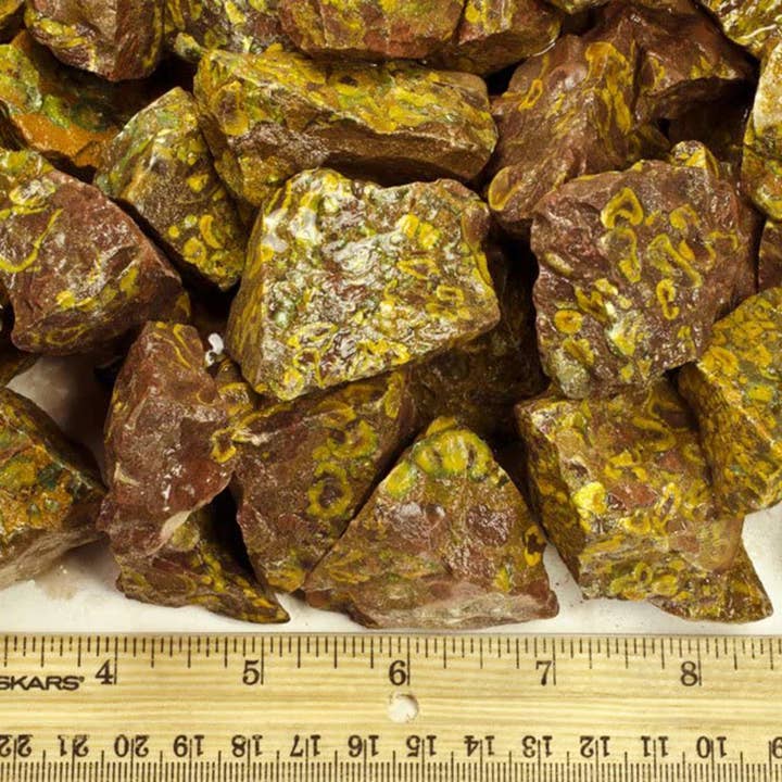 Fantasia Mining - Wholesale Spiritual Stone/Crystal - Rough Leopard Jasper - India - Raw Natural Stones (1 lb)