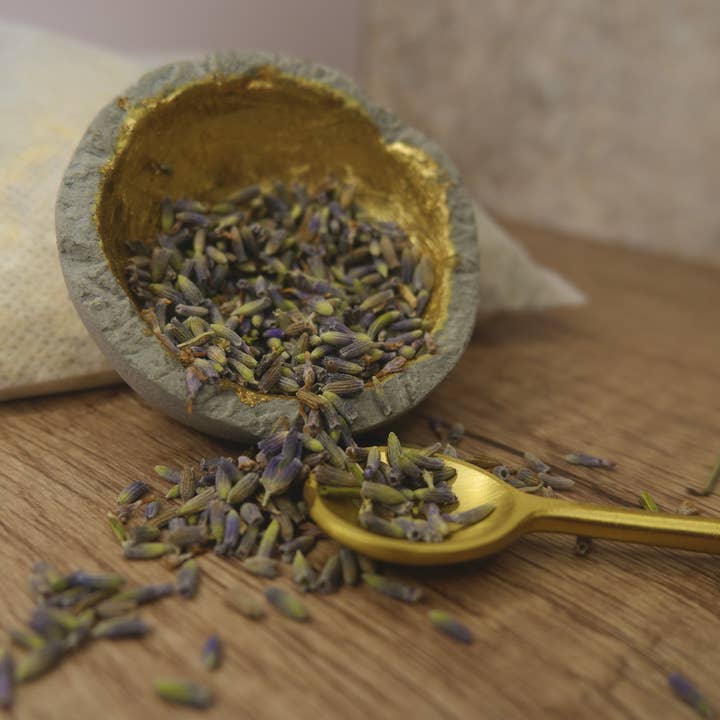 Daily Ritual Skincare - Wholesale Bath/Body Oil - Retail Olive's Oil Soothing Lavender Body Oil2