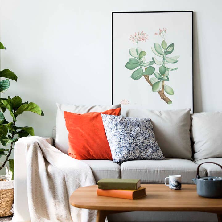 Crassula portuca per la vendita all'ingrosso da parte di Print Society