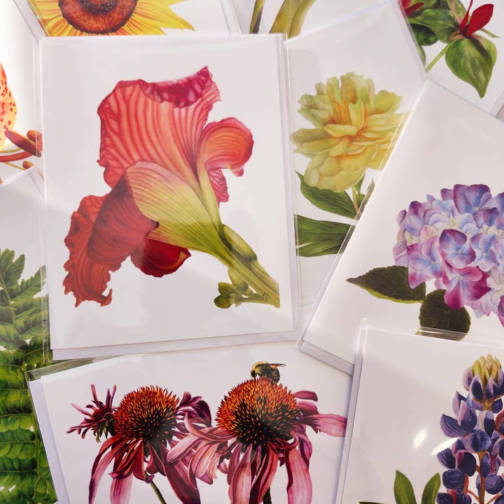Redbriar Studio - Wholesale Stationery/Notecard Set - Notecards40