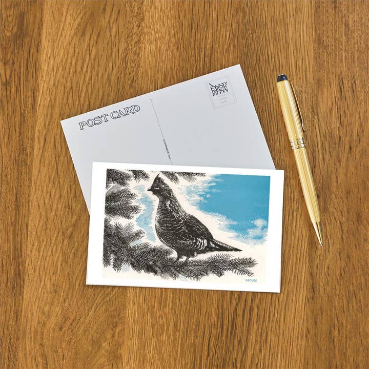 Found Image Press – wholesale Postcard – Postcard BD-241 Grouse in Fir Tree1