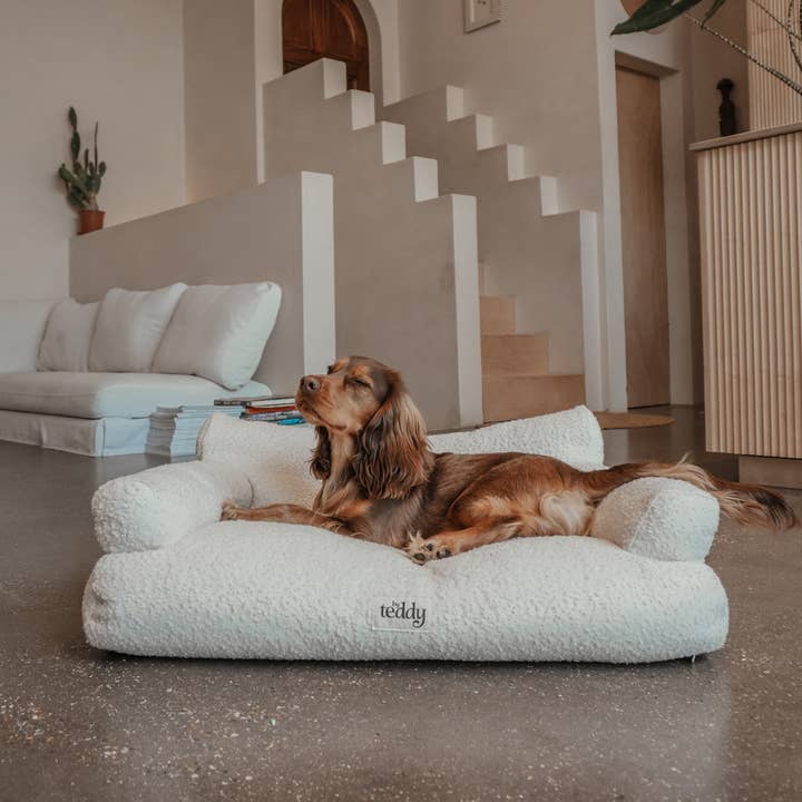 By Teddy - Wholesale Pet Bed - Dog - The Teddington Sofa3