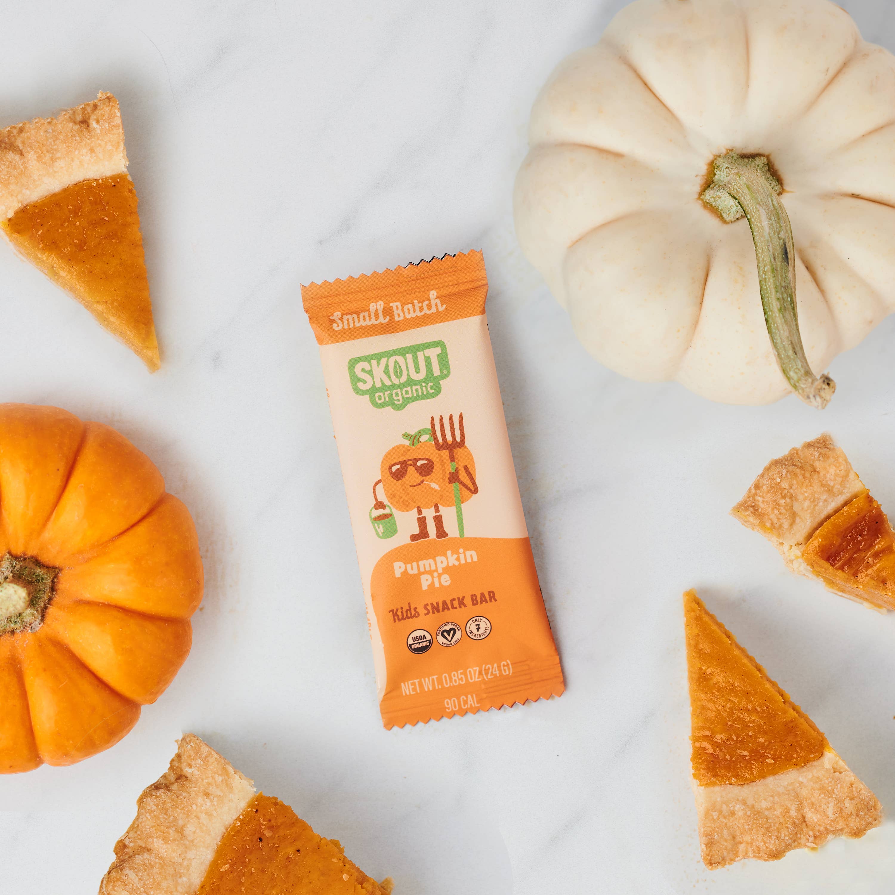 Skout Organic - Wholesale Snack bar - Skout Organic Pumpkin Pie Kids Snack Bar - Seasonal!