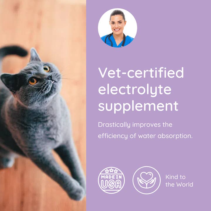 Petralyte - Wholesale Pet Supplement - Cat - Cat Electrolyte and Joint Supplement | Salmon Lovers