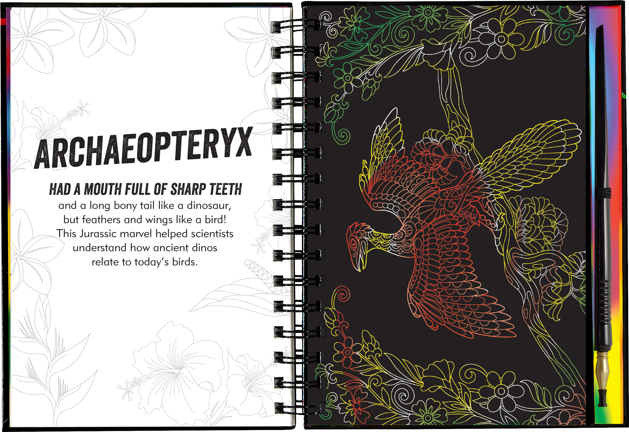 Peter Pauper Press - Wholesale Sketchbook/Sketchpad - Extreme! Dinosaurs Scratch and Sketch5
