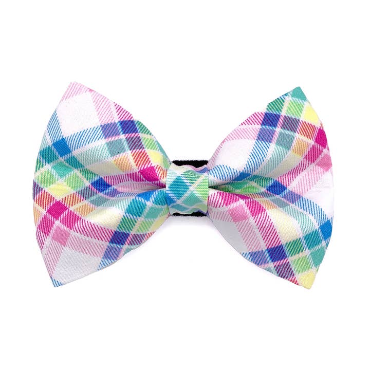 Rainbow Plaid Hundfluga för wholesale av Winthrop Clothing Co.