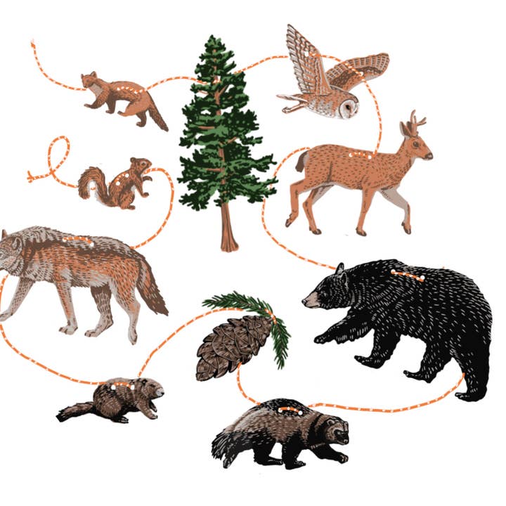 Hissing Mink - Wholesale Bunting/Garland - Pacific Northwest Woodland Paper Garland1