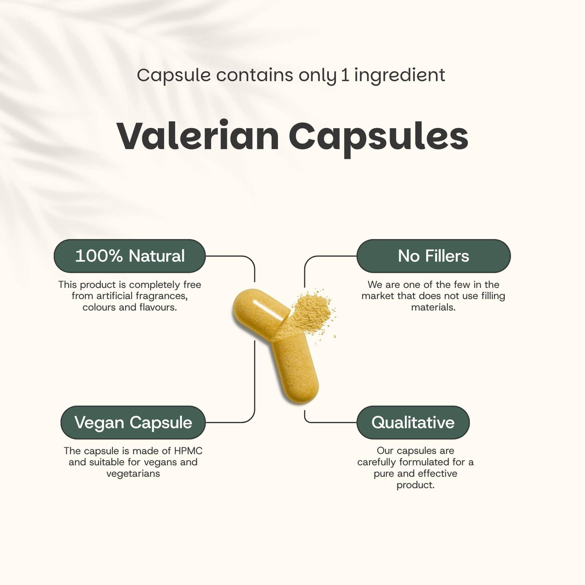 Cupplement b.v. – Suplemento/vitamina oral por atacado – Cápsulas de Extrato de Valeriana 500 mg 60 Cápsulas2