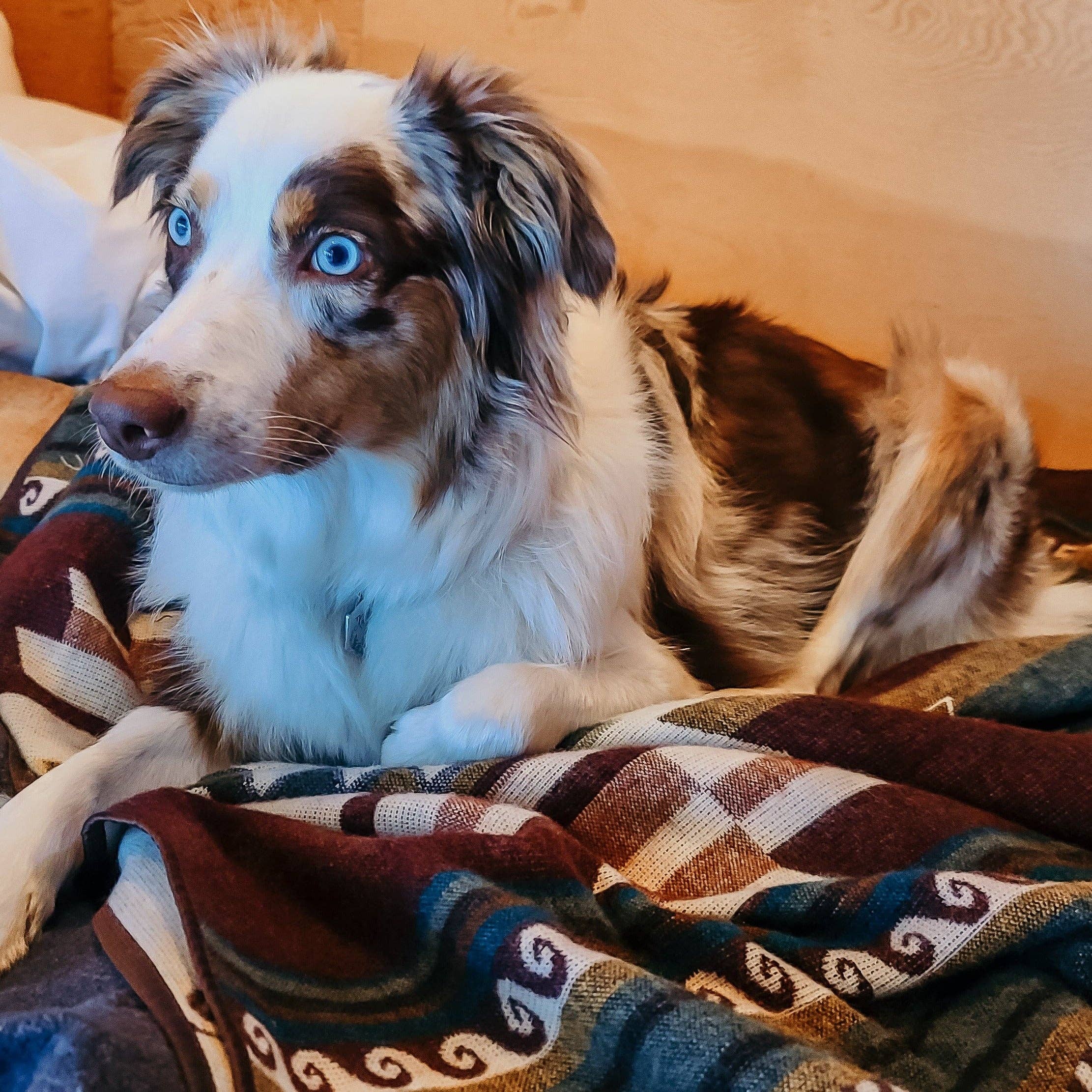 Wylde Brigade – Manta para sofá por atacado – Manta Reversível Azteca Cayambe3