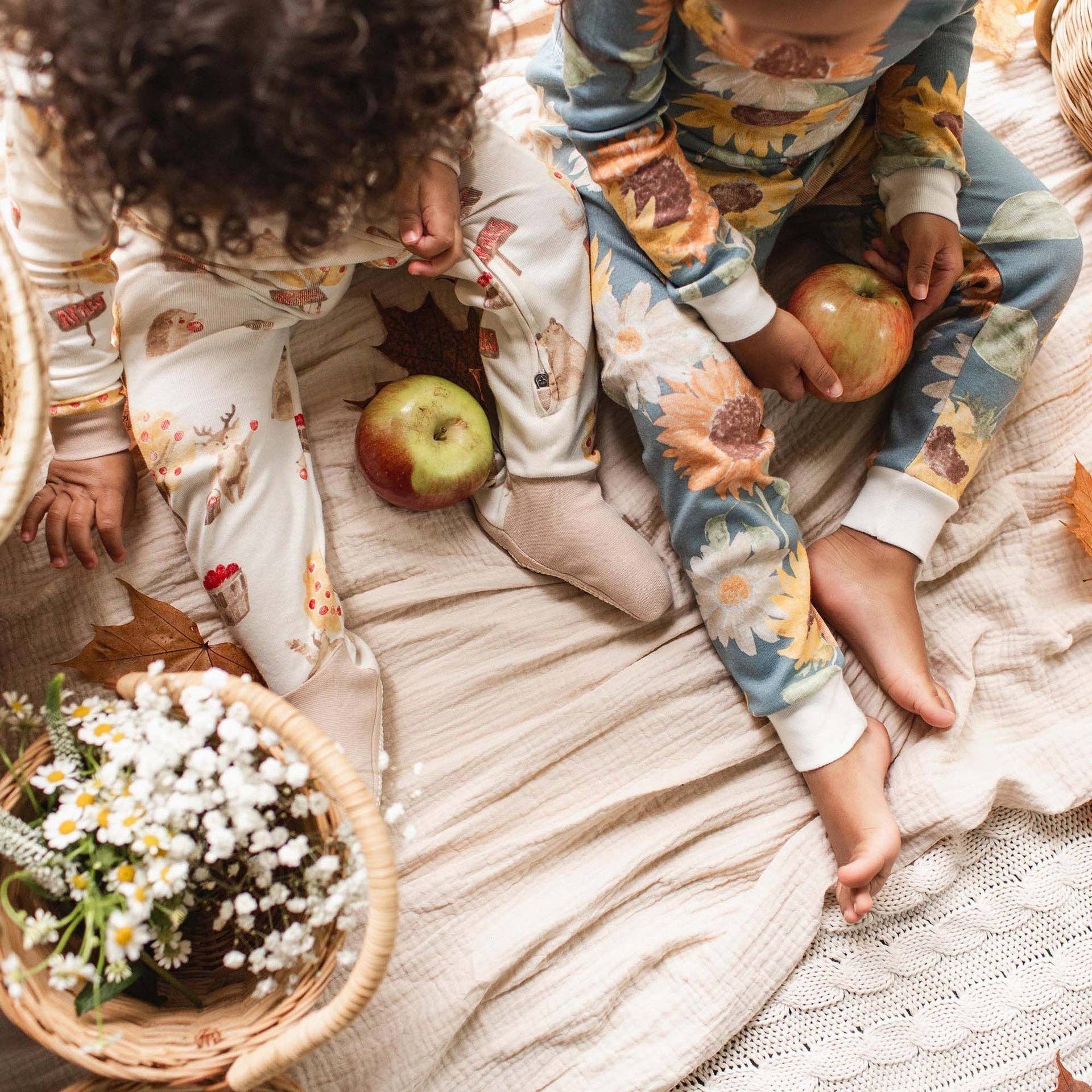 Burt's Bees Baby - Wholesale Sleepsuit - Baby - Apple Season Organic Cotton Sleep & Play3